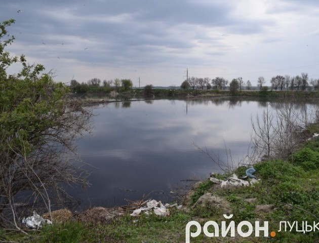 Закамарки: як виглядає відстійник, що засмердів цілий Луцьк