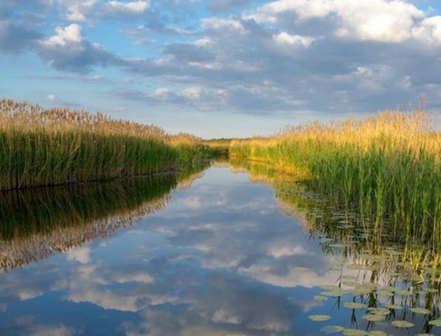 Дивовижні озерні краєвиди на світлинах волинського фотографа