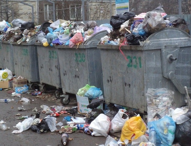 На Волині невідомі викинули корову на смітник