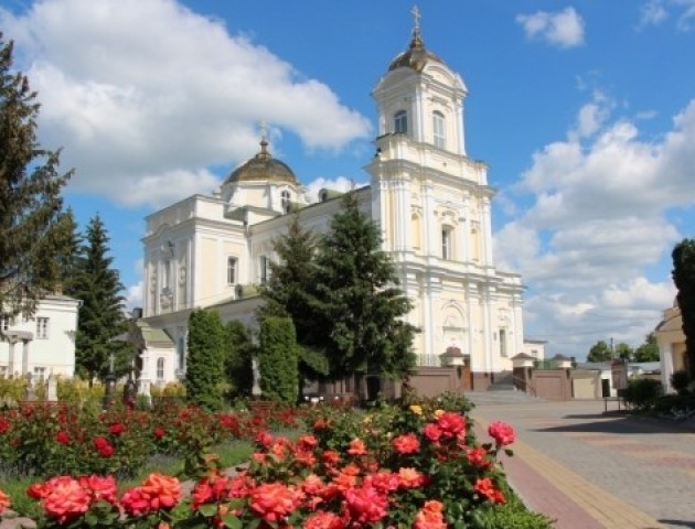 Біля луцького собору зацвіла тисяча троянд
