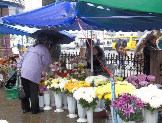 Продавцям квітів у Луцьку пропонують два місця для облаштування нового ринку