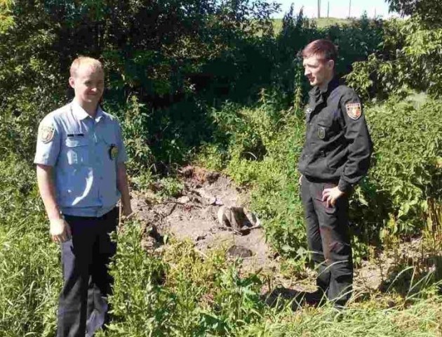 Луцькі муніципали виявили ще одне джерело смороду