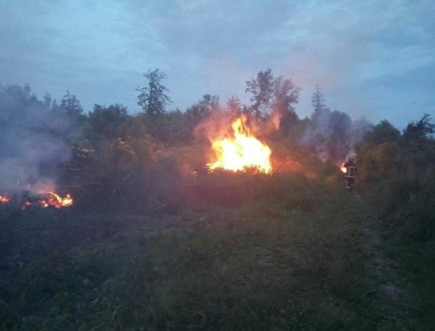 У Луцьку палав Центральний парк міста