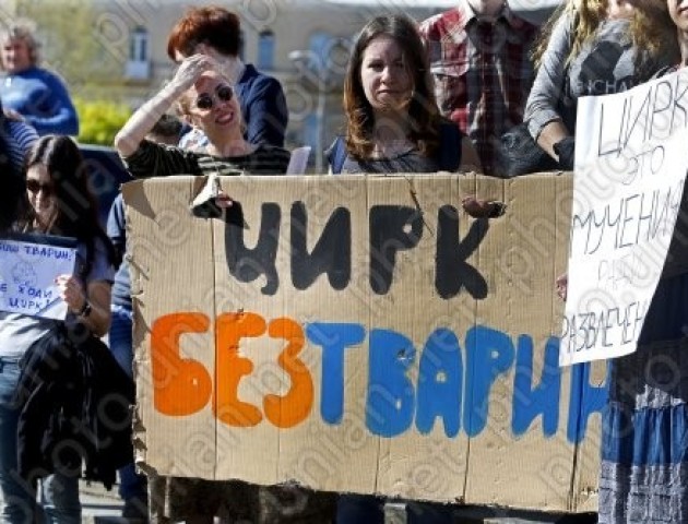 Вперше у Луцьку: цирк без тварин