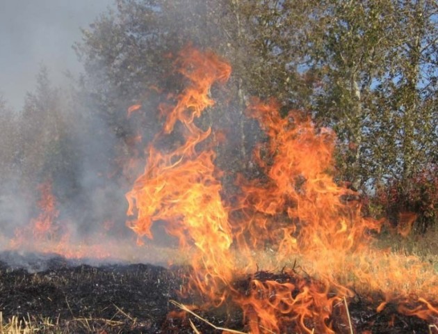 Шацькі лісівники закликають відпочивати в рекреаційних пунктах