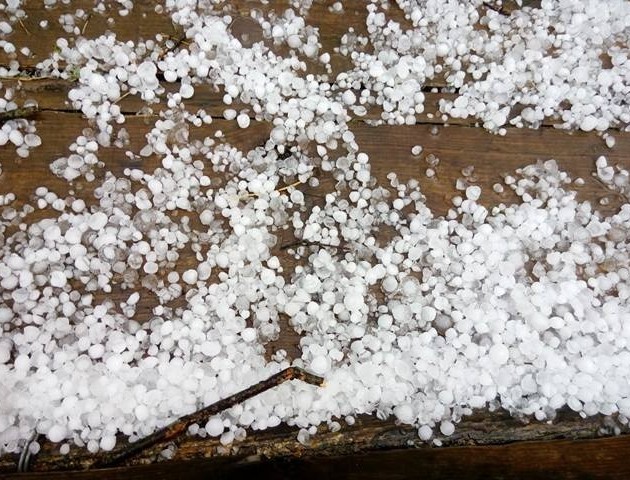 Через грозу волинське село залишиться без городини