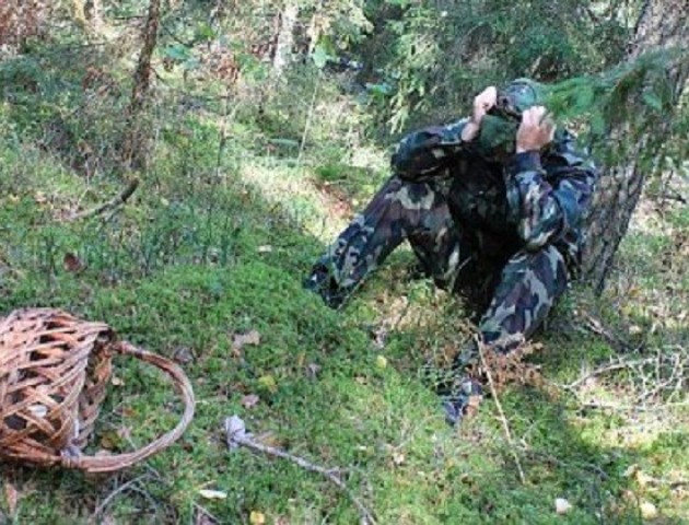 На Волині чоловік пішов по чорниці і заблукав