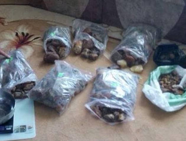 У ковельчан вилучили понад 30 кілограмів бурштину