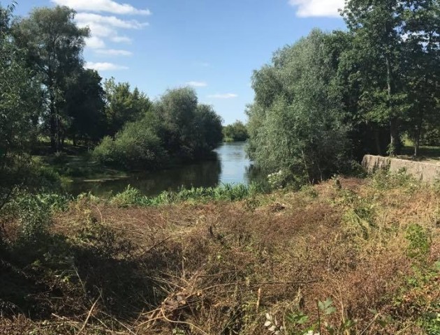 У Луцьку продовжують розчищати територію Центрального парку