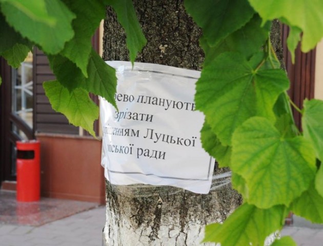 Луцьк перетворюється на пустелю