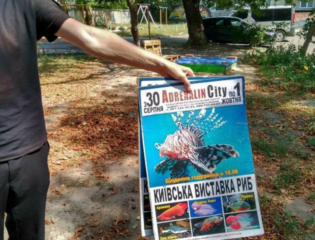 У Луцьку боротьба з незаконною рекламою