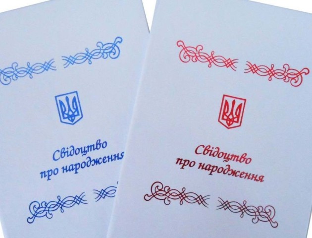 Уже цього року народження дитини та шлюб волиняни зможуть реєструвати онлайн