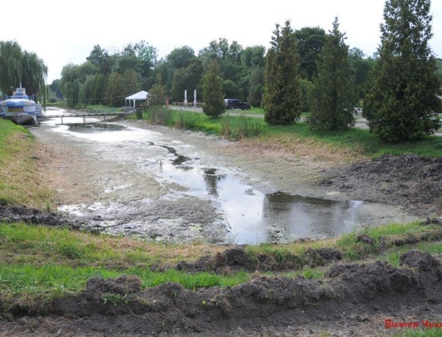 Луцький фотограф закликає рятувати міський парк від «зневоднення»
