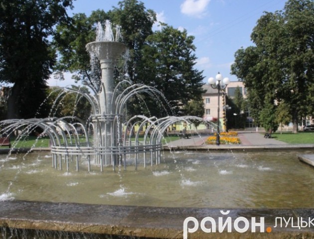 Луцький сквер: піжмурки та пташині купання на проспекті Волі
