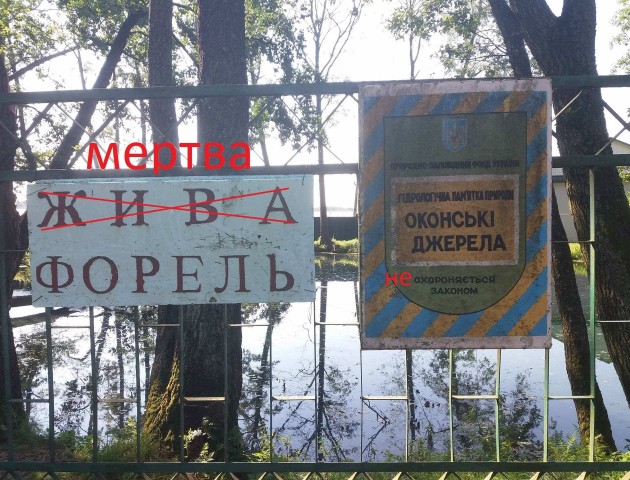 Юрій Сковорода про Оконські джерела: Рибне господарство процвітає, а джерело гине