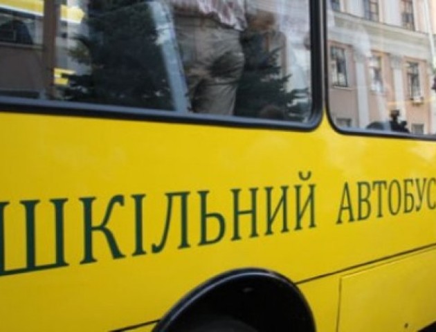Нестача шкільних автобусів на Волині: щороку потрібно до 40
