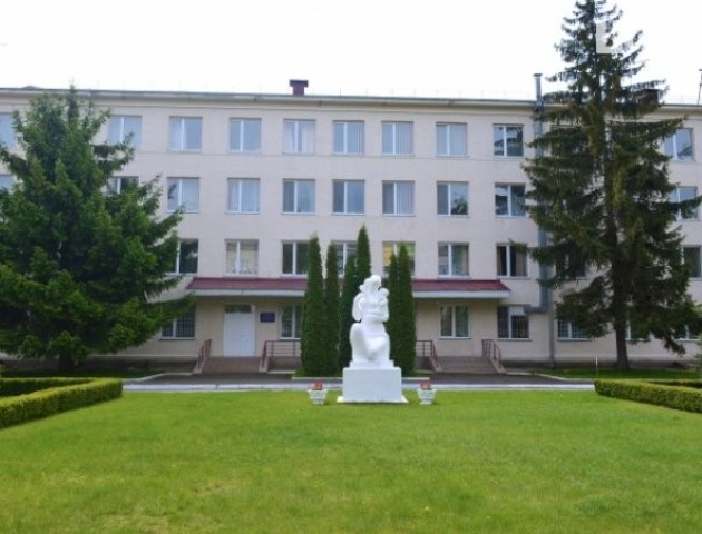 Для пологового будинку у  Луцьку придбають інкубатор для новонароджених