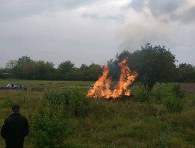 Не страшні й штрафи: лучани продовжують палити сухостій просто неба