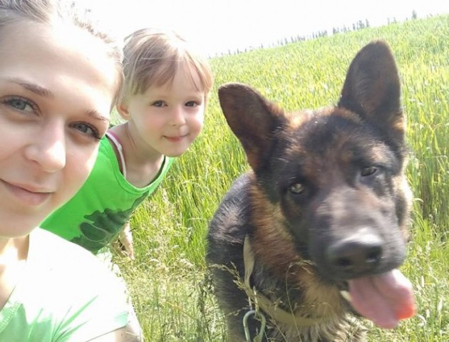 Поблизу Луцька розшукують загублену собаку