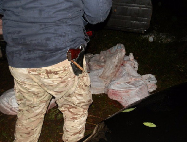 Волинянам, які вбили двох лосів, «світить» до трьох років в'язниці