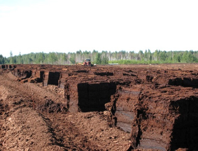Чи законно видобувають торф у Турійському районі?