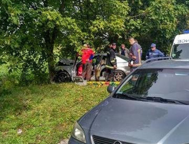 На Волині авто виїхало на узбіччя та врізалося в дерево