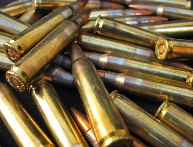 На Волині за добу поліцейські вилучили 80 набоїв та дві димові гранати