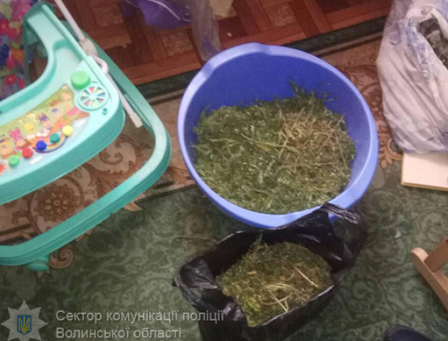 На Волині в чоловіка знайшли 180 рослин коноплі
