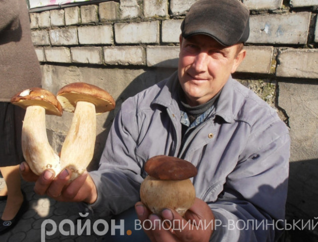 На Волині знецінюються гриби
