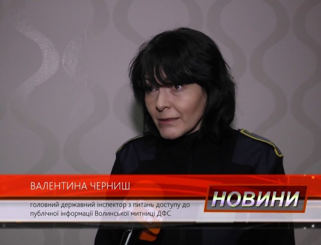 Як волинські фіскали звітували перед громадською радою. ВІДЕО