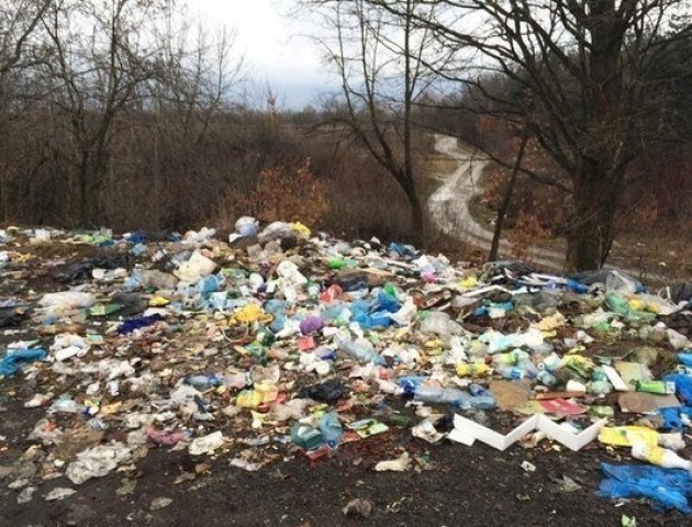 Волинян просять повідомляти про стихійні сміттєзвалища