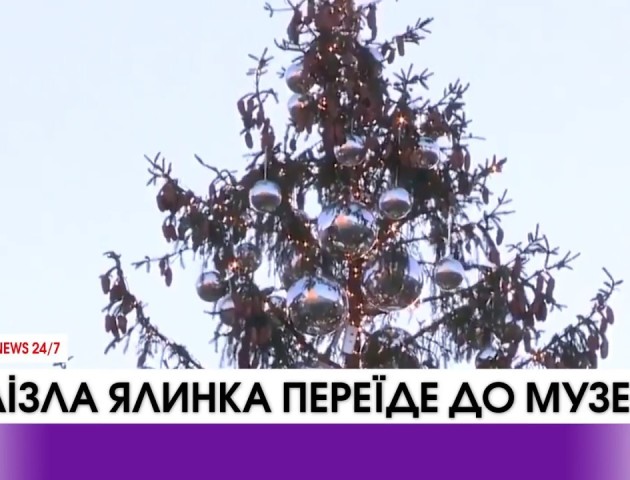 Облізла ялинка Риму може стати експонатом музею сучасного мистецтва. ВІДЕО
