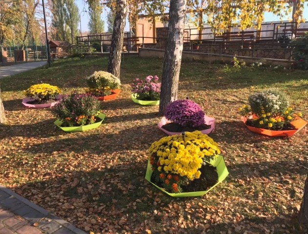 У Луцькому зоопарку облаштували оригінальну фотозону