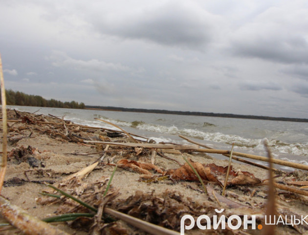 Ласкаве та спокійне влітку, грізне та суворе - восени: Озеро на Волині вражає неповторністю. ФОТО