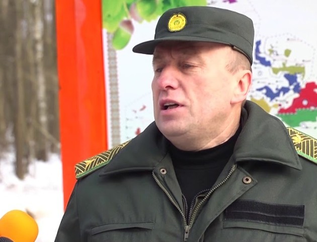 На Волині відбудовують лісову трасу. ВІДЕО