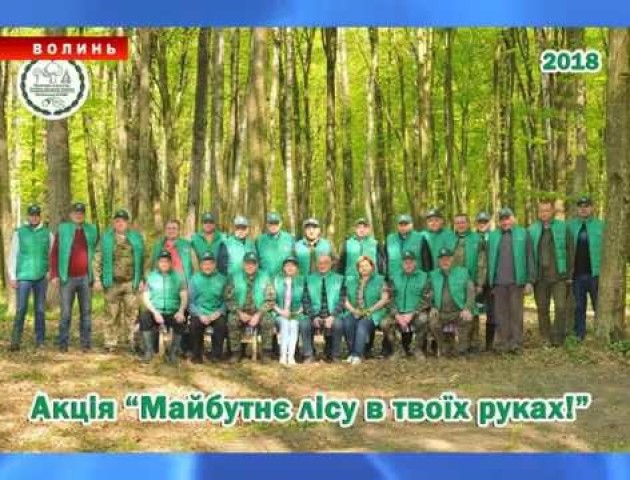 Сторінками лісокультурної кампанії-2018 на Волині: як це було. ВІДЕО