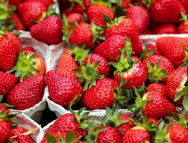 Без українських заробітчан поляки можуть втратити до 40% врожаю полуниці