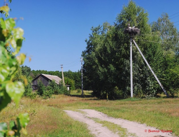 «Поліський краю дорогий»: порція прекрасних світлин від луцького фотографа