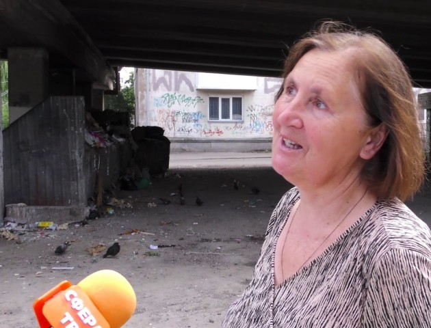 Переповнені смітники та безвідповідальні перевізники: лучани нарікають на комунальні служби