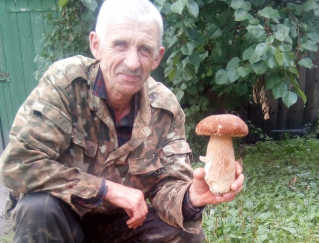 Дві корзини з горою: волинянин похизувався грибним урожаєм. ФОТО