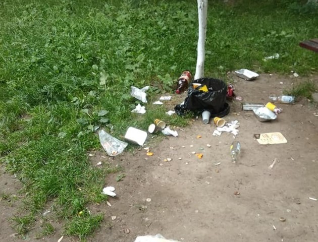 «Вже немає сил на все це дивитись»: лучани влаштували смітник у своєму дворі. ФОТО