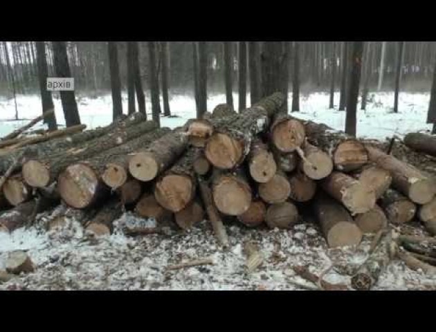 Волинські лісівники обговорили проблеми галузі з депутатами. ВІДЕО