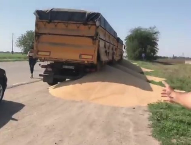 Щоб не платити штраф, водій висипав зерно на дорогу. ВІДЕО