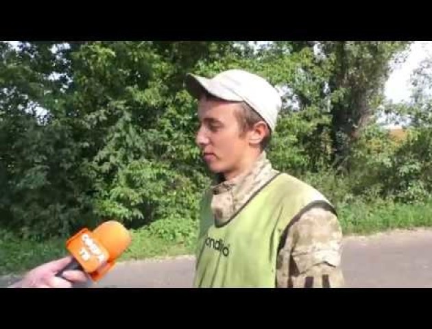 В Заборольській ОТГ по-варварськи знищують дерева. ВІДЕО