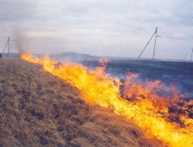 Лише за тиждень на Волині ліквідували 29 пожеж сухостою